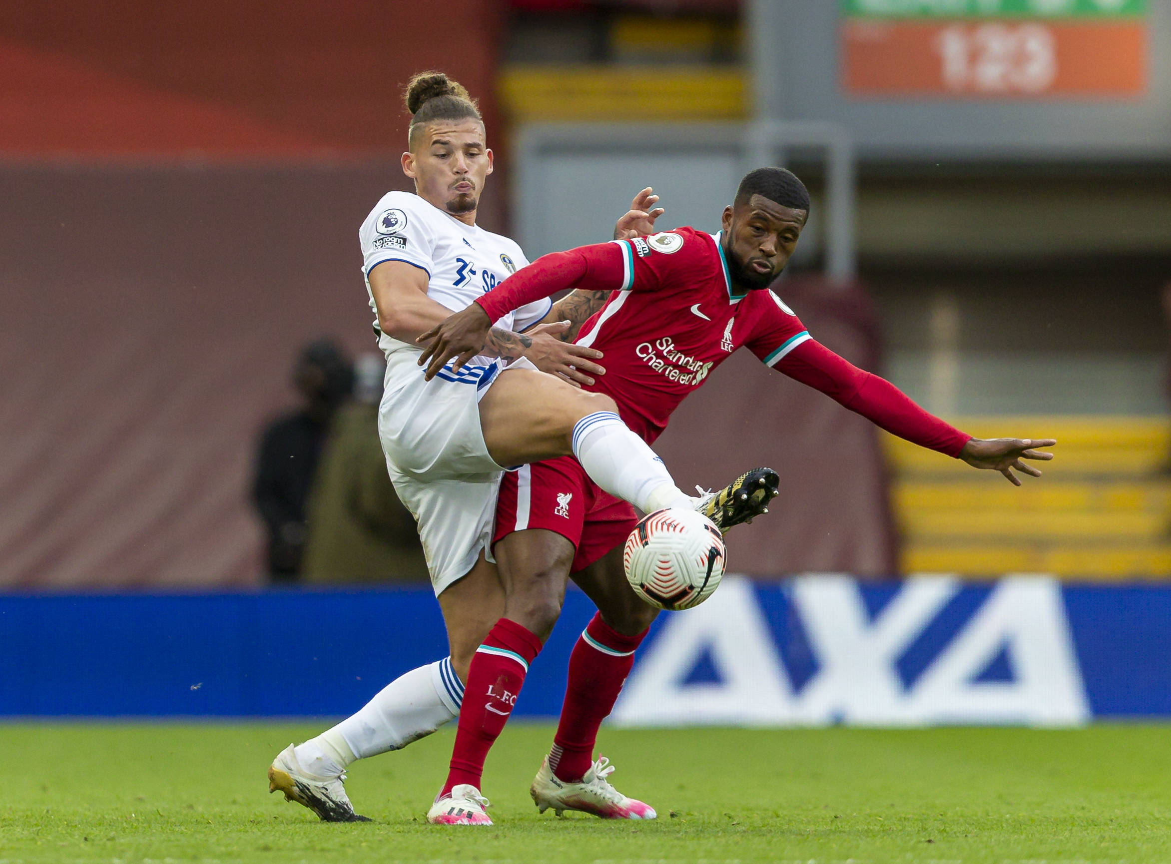 选材范围狭 选材范围狭