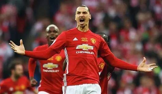 的原则进行 的原则进行